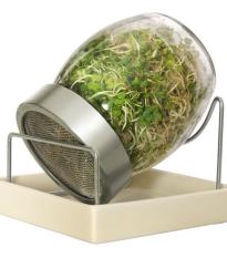 Sklenice na klíčení s keramickým podstavcem - prodej pěstebních pomůcek - 1 ks