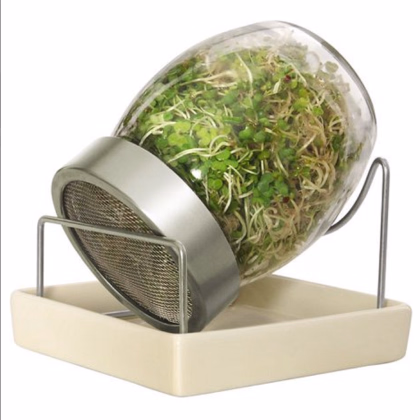 Sklenice na klíčení s keramickým podstavcem - prodej pěstebních pomůcek - 1 ks