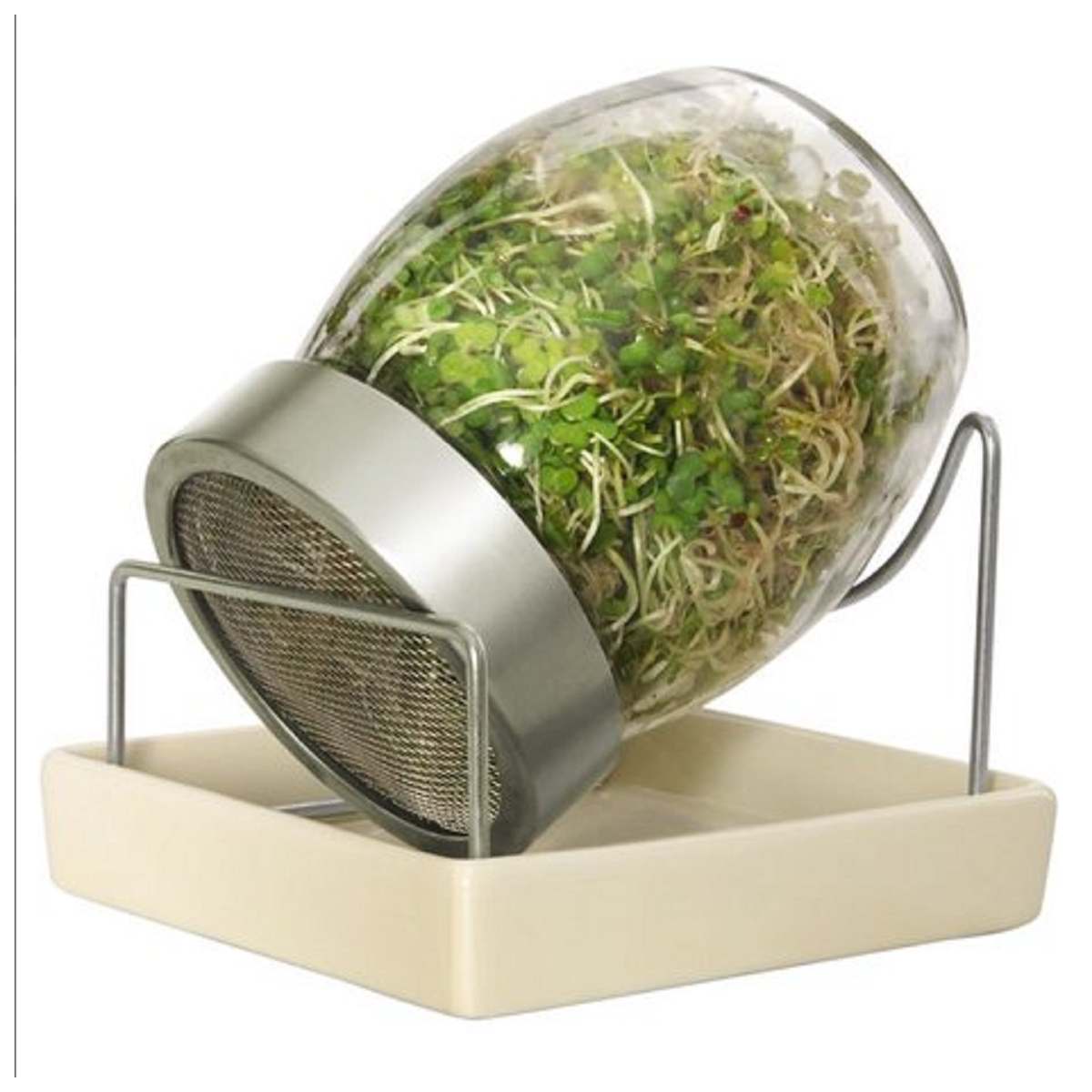 Sklenice na klíčení s keramickým podstavcem - prodej pěstebních pomůcek - 1 ks