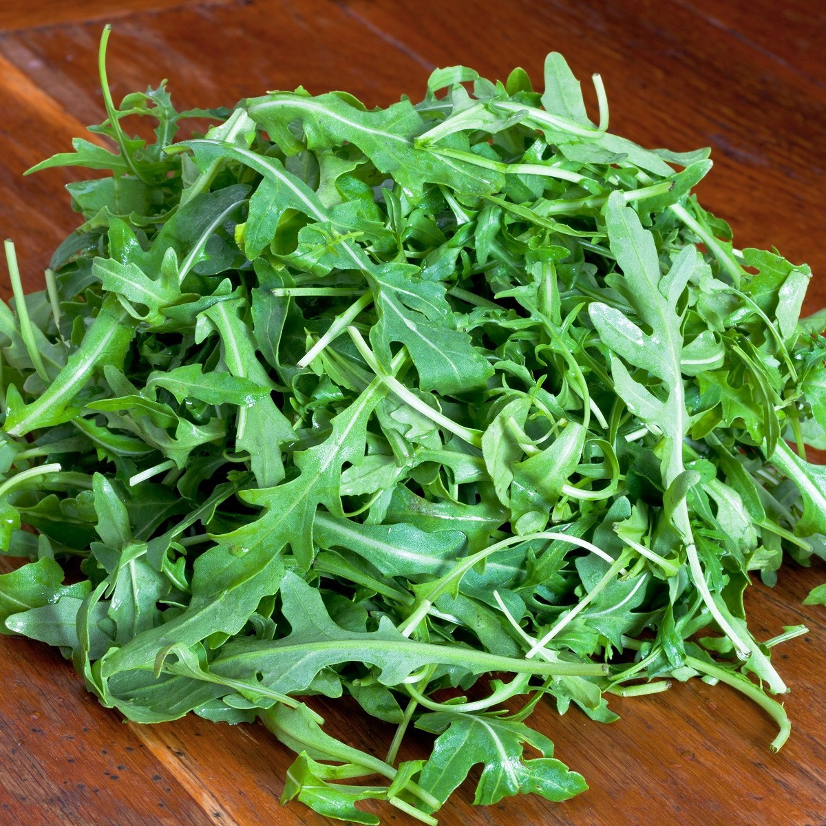 Rukola k rychlení do bytu Speedy - Eruca sativa - prodej semen - 300 ks