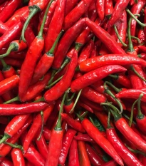 BIO Chilli Kajenský pepř - Capsicum annuum - prodej bio semen - 7 ks
