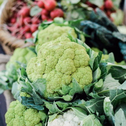 Květák Susana F1 - Brassica oleracea var botrytis - prodej semen - 20 ks