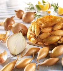 Cibule sazečka žlutá hruškovitá - Allium cepa - prodej cibulek - 250 g