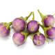 BIO Lilek Rosa Bianca - Solanum melongena - prodej bio semen - 20 ks