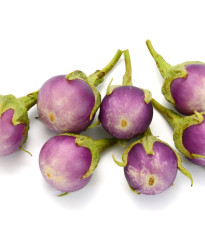 BIO Lilek Rosa Bianca - Solanum melongena - prodej bio semen - 20 ks