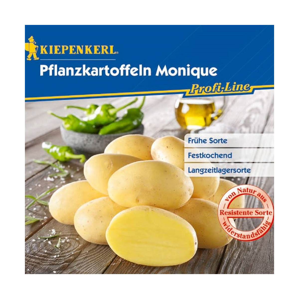 Brambory sadbové Monique - Solanum tuberosum - Kiepenkerl - prodej sadby - 10 ks