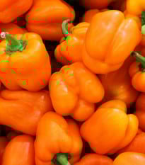 Paprika Snack Orange - Capsicum annuum - prodej semen - 6 ks