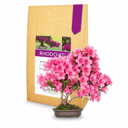 Mykorhiza pro bonsaje - Rhodovit - prodej hnojiv - 100 g