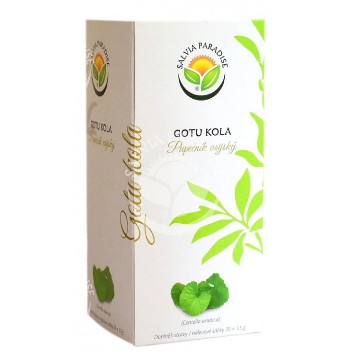 Pupečník asijský - Centella asiatica - prodej bylinných čajů - 20 x 1,5 g