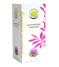Ostropestřec mariánský - Silybum marianum - prodej bylinných čajů - 20 x 3 g