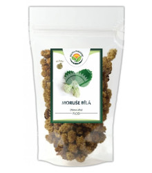 Moruše bílá - Morus Alba - jedlý plod - 100 g