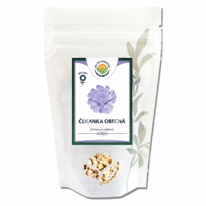 Čekanka obecná - Cichorium inthybus - kořen - 100 g
