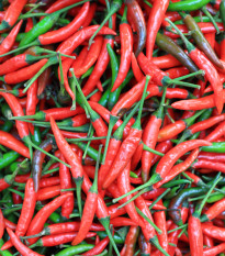 Chilli Thai Hot Culinary - Capsicum annuum - prodej semen - 6 ks