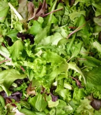 Mix orientálních salátů - prodej semen - 50 ks