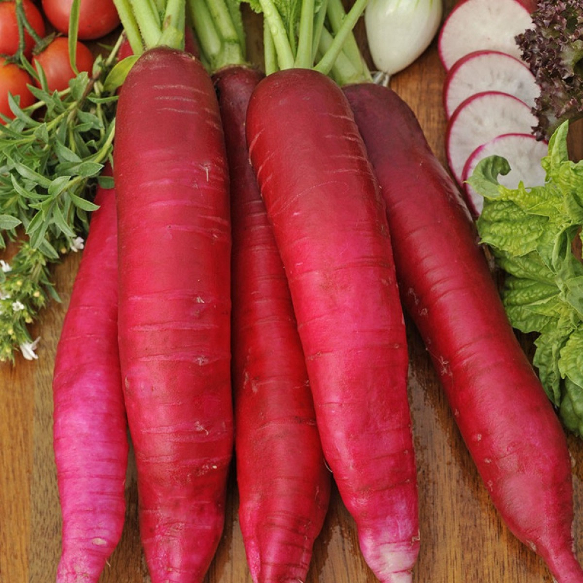 Ředkev Ostergruss Rosa 2 - Raphanus sativus - prodej semen - 80 ks