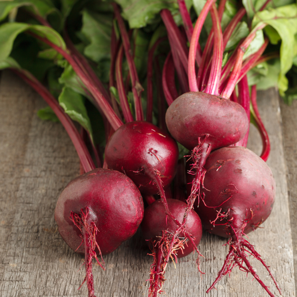 Řepa Ägyptische Plattrunde - Beta vulgaris - prodej semen - 50 ks