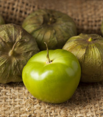 Tomatillo Verde - Physalis ixocarpa - prodej semen - 7 ks