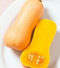 BIO Tykev Butterscotch F1 - Cucurbita moschata - prodej bio semen - 5 ks