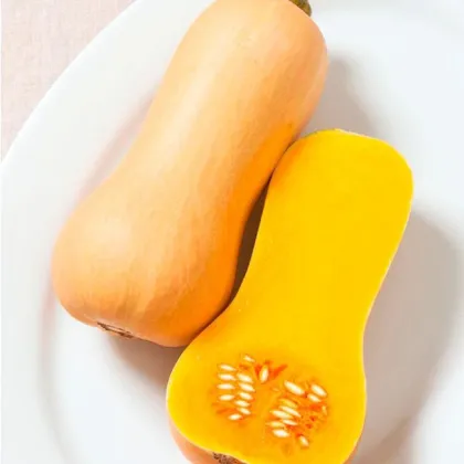 BIO Tykev Butterscotch F1 - Cucurbita moschata - prodej bio semen - 5 ks