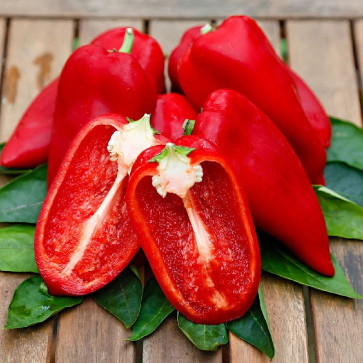 Paprika Snacking Red - Capsicum annuum - prodej semen - 5 ks