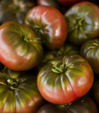 Rajče Cherokee - Solanum lycopersicum - prodej semen - 7 ks