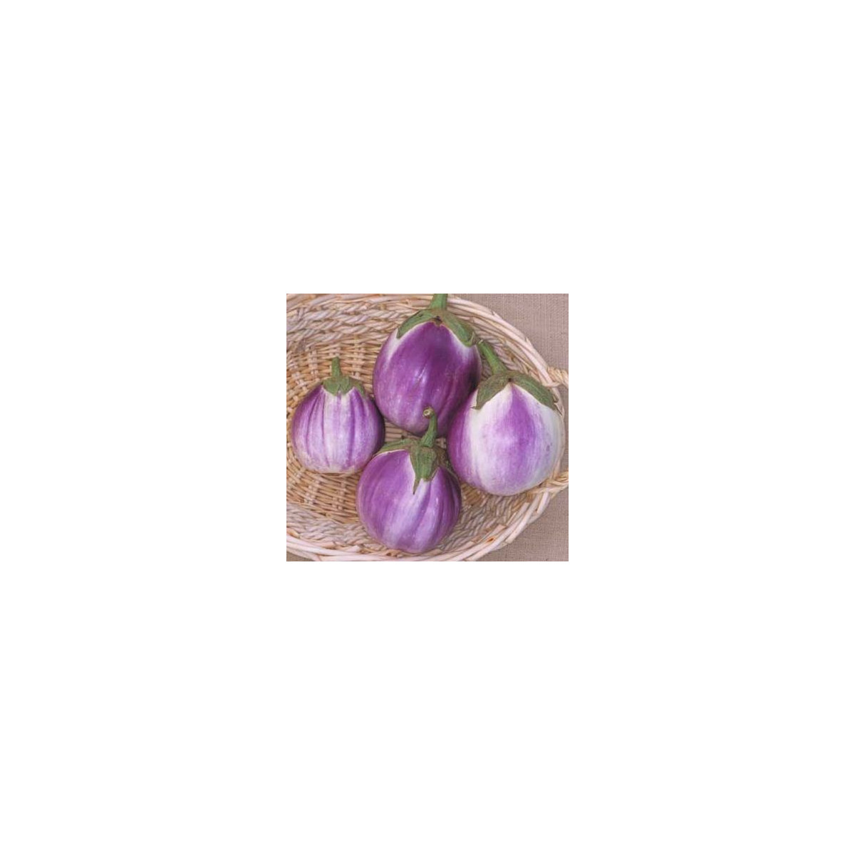 Lilek Baklažán - Rosa Bianca - prodej semen lilku - 6 ks