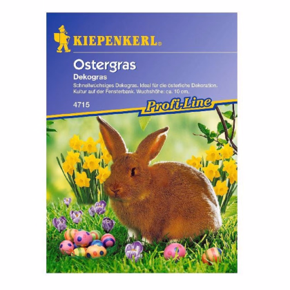 Velikonoční tráva - Kiepenkerl - prodej semen - 30 g