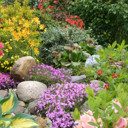 Letničky do skalky - směs - prodej semen - 0,9 g