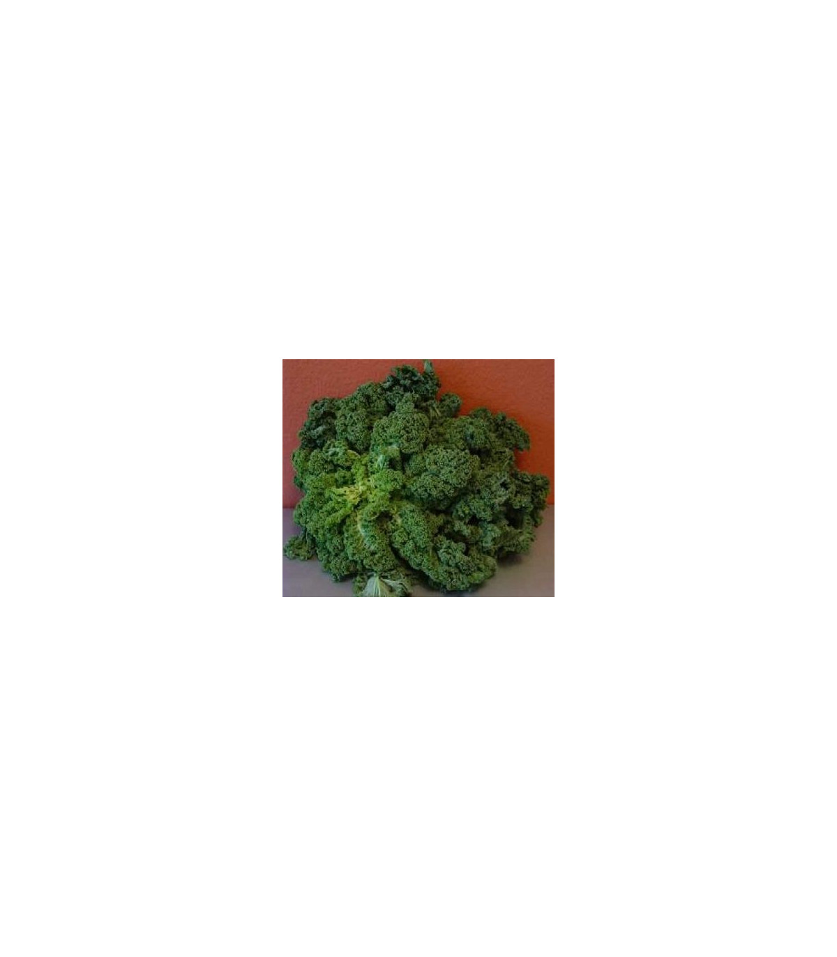 Kadeřávek zelený zimní - semena kadeřávku - 150 ks