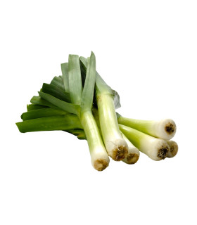 Pór