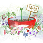 Dárkové poukazy a balíčky