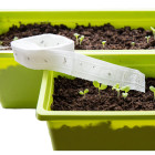 Výsevní pásky květin