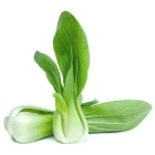 BIO asijská zelenina