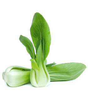 BIO asijská zelenina