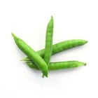 BIO Hrách dřeňový