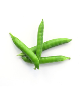 BIO Hrách dřeňový