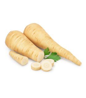 Pastiňák