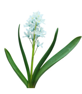 Puškinie