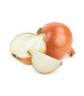 BIO sadba cibule
