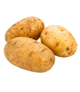 BIO sadba brambory