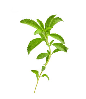 Stévie