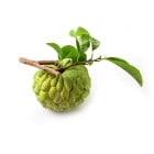 Anona - exotické plody