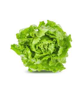 Saláty