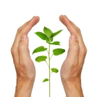 Ochrana nejen rostlin