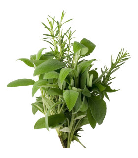 Směsi