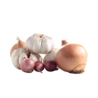 BIO cibulová zelenina