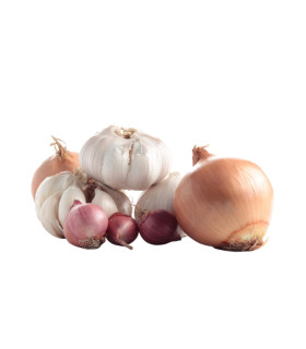 BIO cibulová zelenina