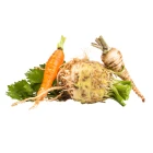 BIO kořenová zelenina