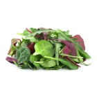 BIO listová zelenina