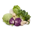 BIO košťálová zelenina